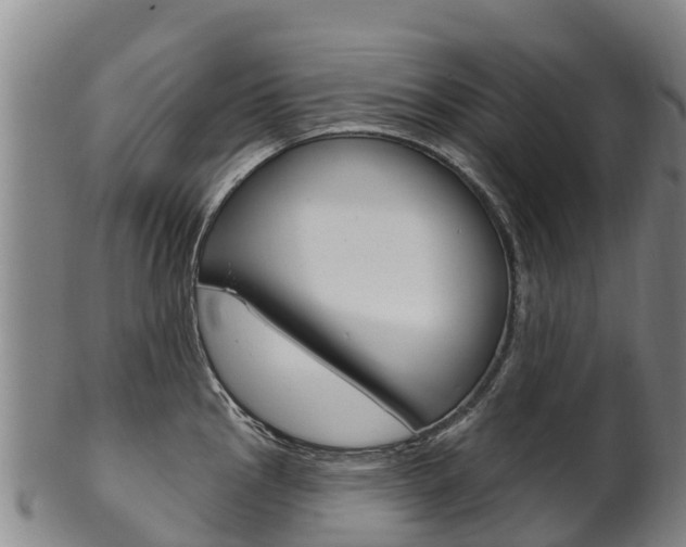 X0000102531145200808081046