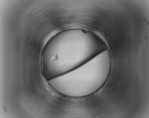 X0000102531146200808081046