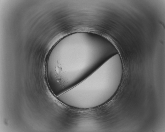 X0000102531147200808081046