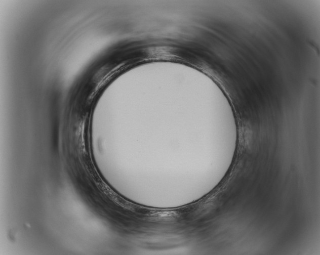X0000102531150200808081047