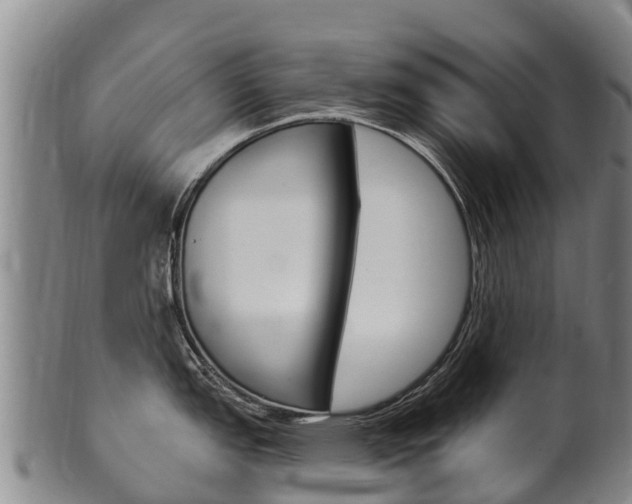 X0000102531151200808081047