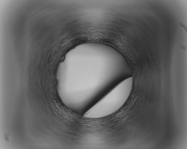 X0000102531153200808081046