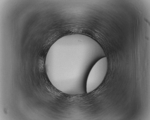 X0000102531154200808081046