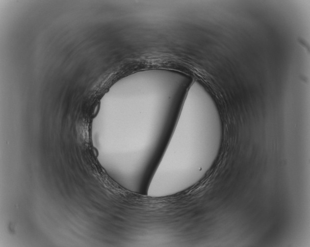 X0000102531155200808081046