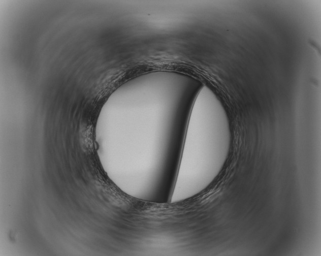 X0000102531156200808081046