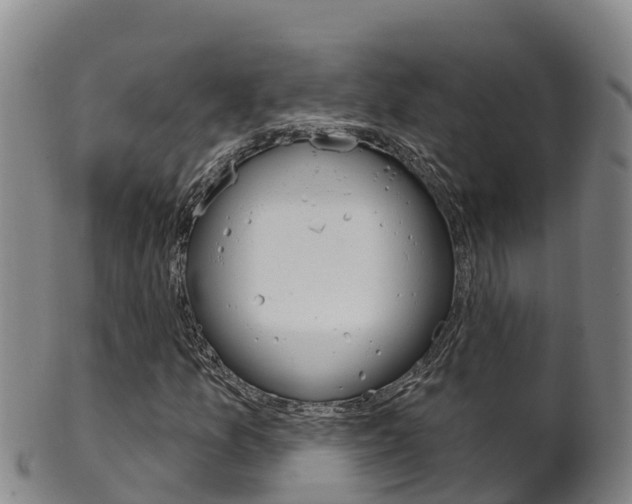 X0000102531157200808081046