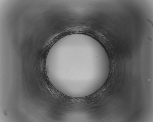 X0000102531158200808081046