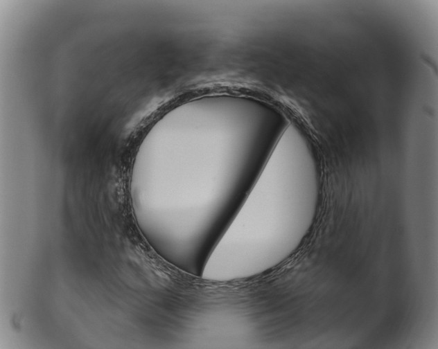 X0000102531159200808081046
