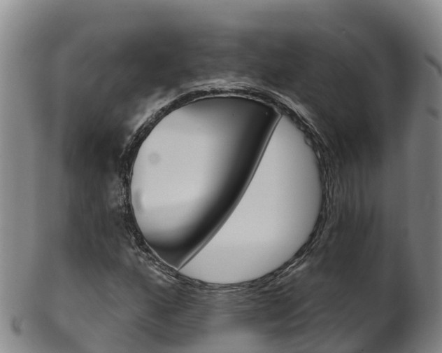 X0000102531160200808081046