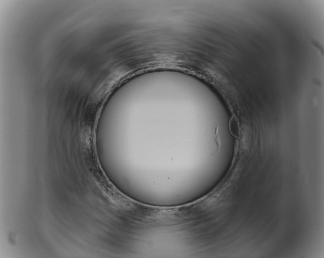 X0000102531161200808081046