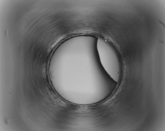 X0000102531162200808081046