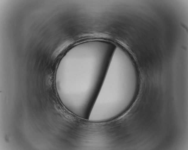 X0000102531163200808081046