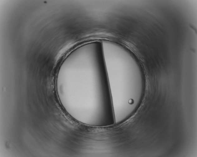 X0000102531164200808081046