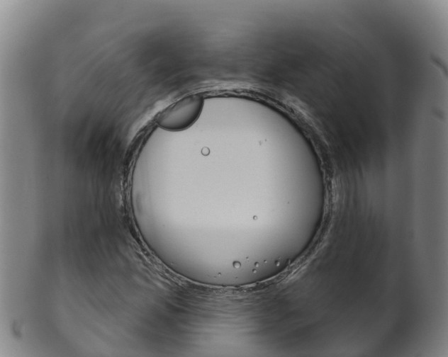 X0000102531165200808081046