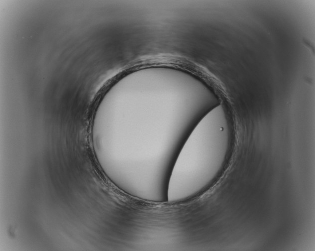 X0000102531166200808081046