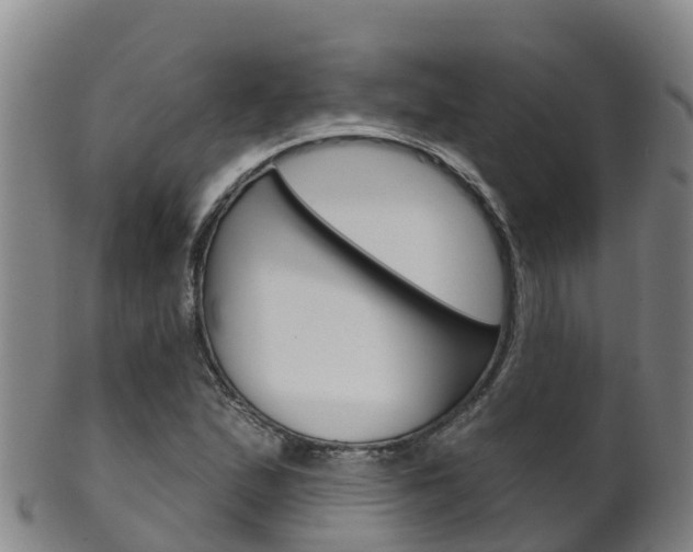 X0000102531167200808081046
