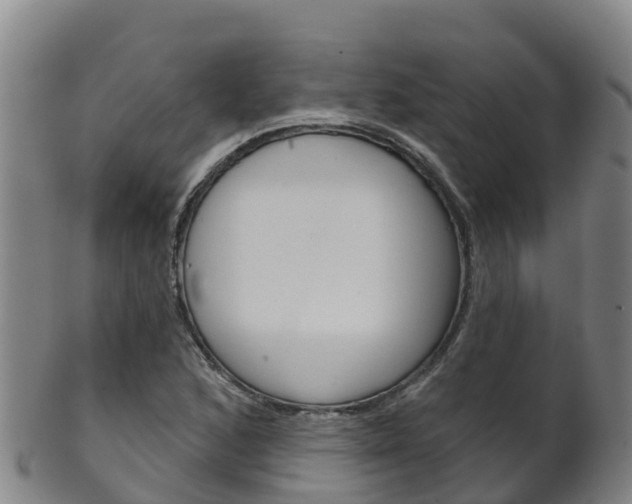 X0000102531168200808081046