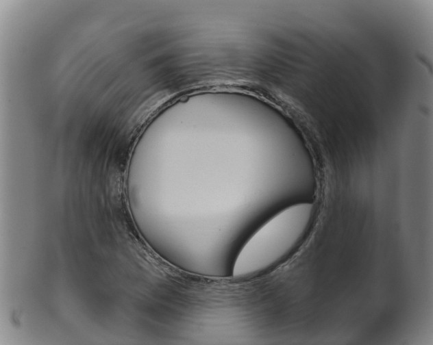 X0000102531169200808081046