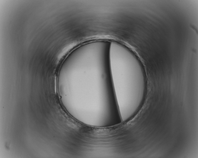 X0000102531171200808081046