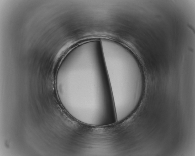 X0000102531172200808081046