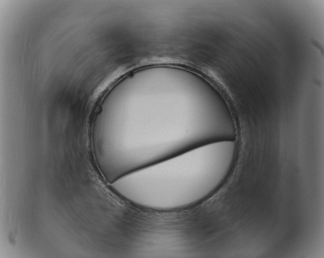 X0000102531173200808081046