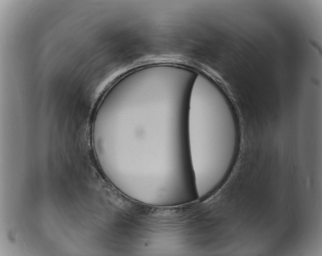 X0000102531174200808081046