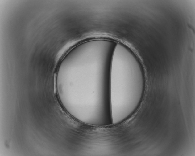 X0000102531175200808081046