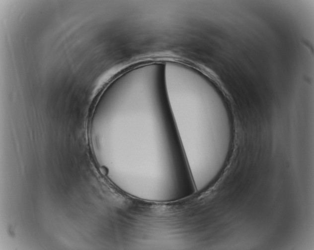 X0000102531176200808081046