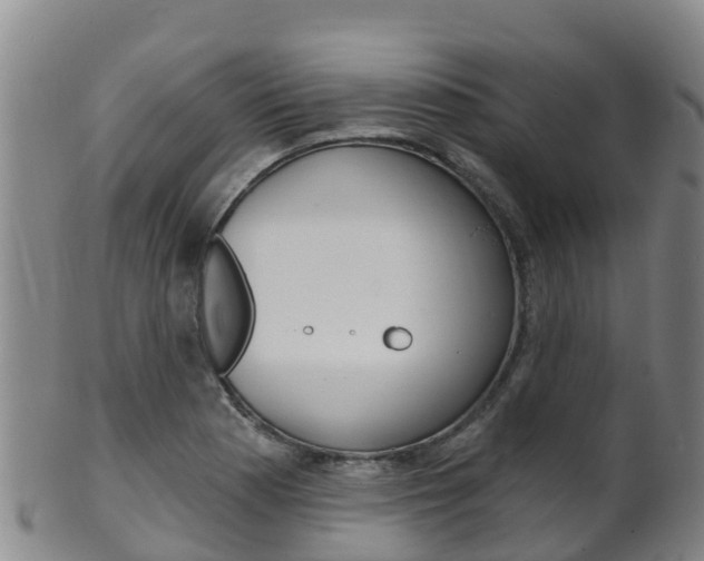 X0000102531177200808081046