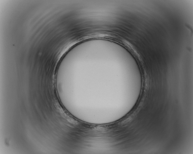 X0000102531178200808081046