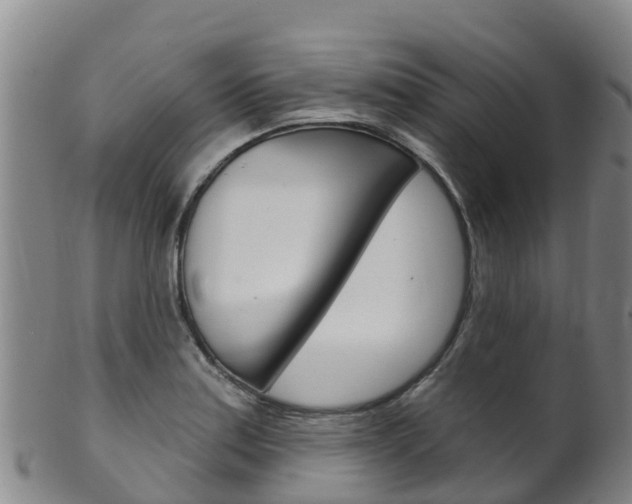X0000102531179200808081046