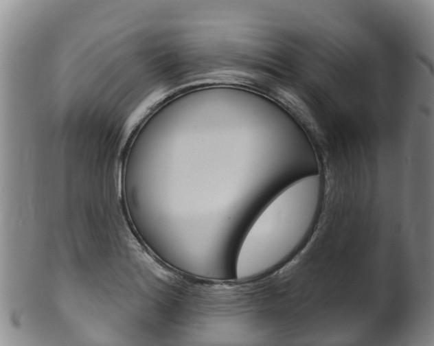 X0000102531180200808081046