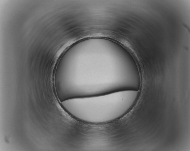 X0000102531181200808081046