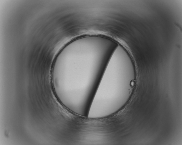 X0000102531183200808081045