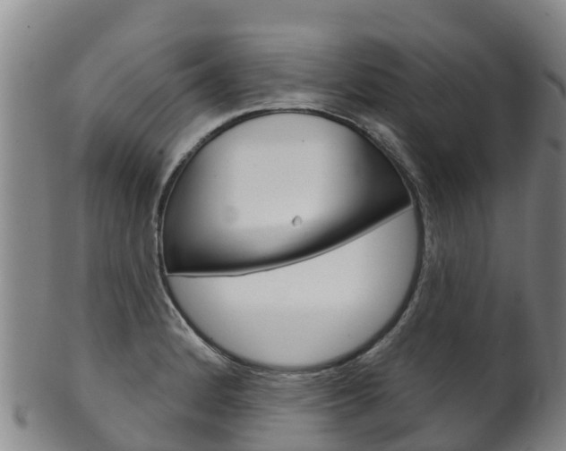 X0000102531184200808081045