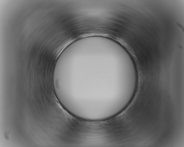 X0000102531185200808081045