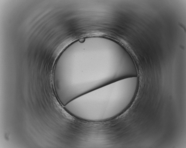 X0000102531186200808081045