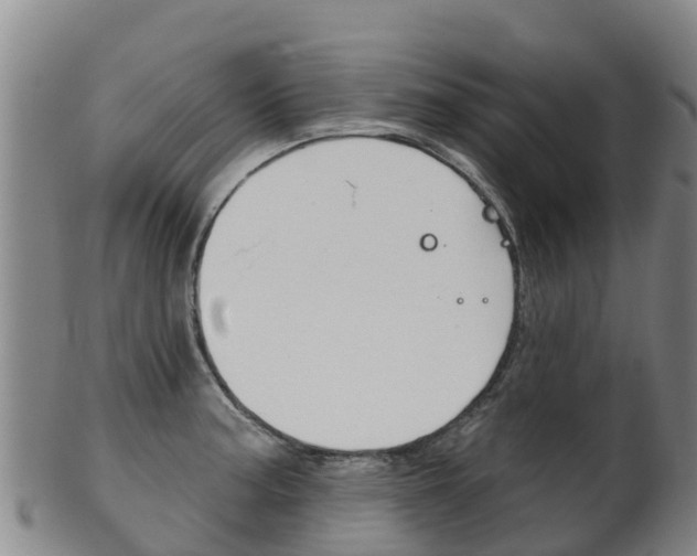 X0000102531187200808081045