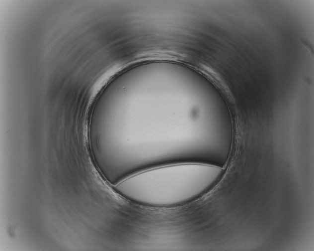 X0000102531188200808081045