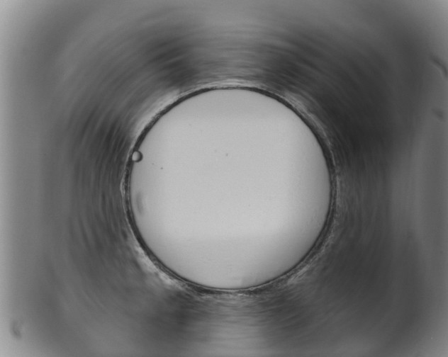 X0000102531189200808081045