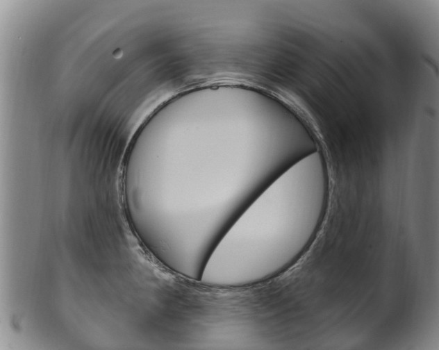 X0000102531190200808081045