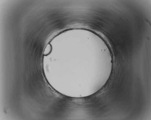 X0000102531191200808081045