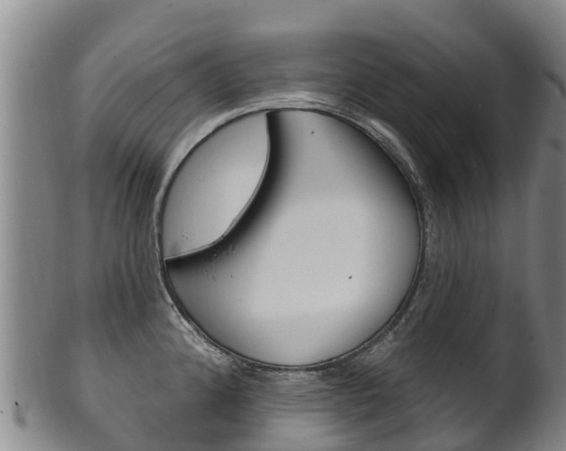 X0000102531192200808081045