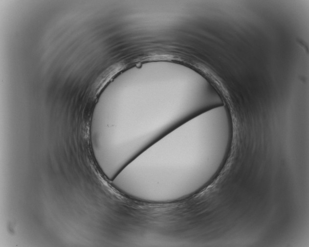 X0000102531193200808081045