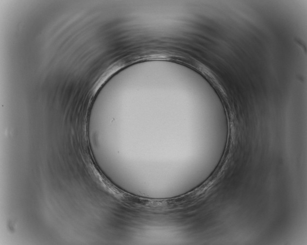 X0000102531194200808081045