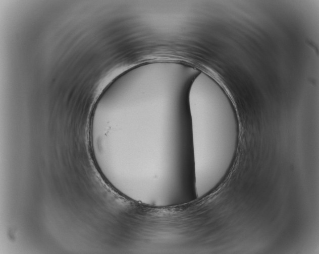 X0000102531195200808081045