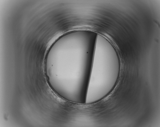 X0000102531196200808081045