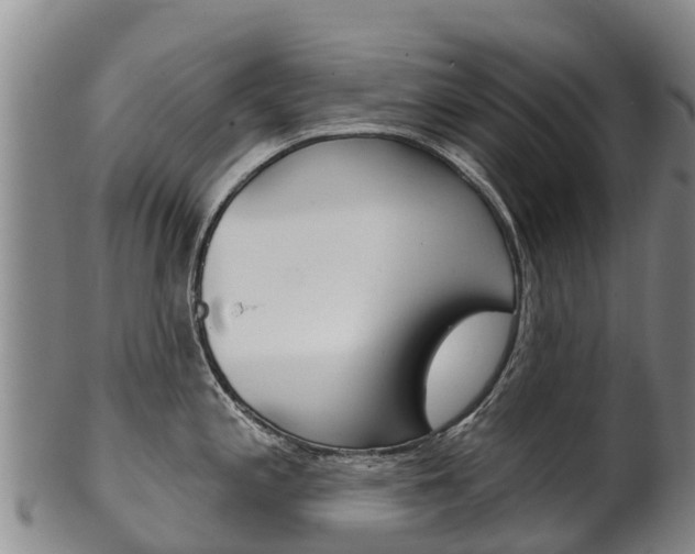 X0000102531197200808081045