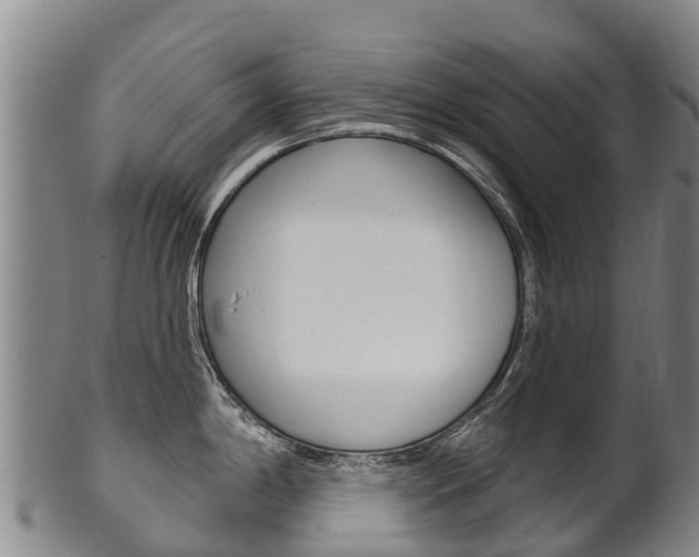 X0000102531198200808081045