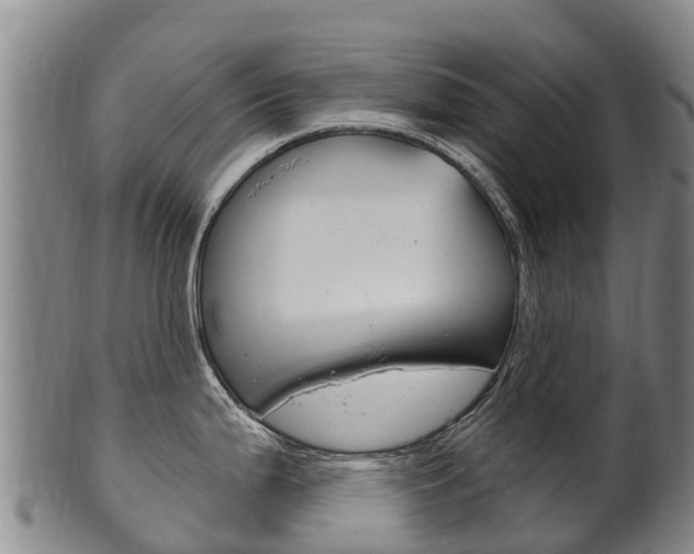 X0000102531199200808081045
